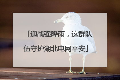 迎战强降雨，这群队伍守护湖北电网平安