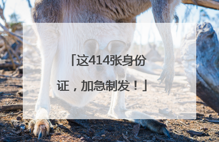 这414张身份证，加急制发！