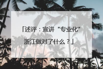 述评：宣讲“专业化” 浙江做对了什么？