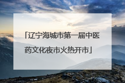 辽宁海城市第一届中医药文化夜市火热开市