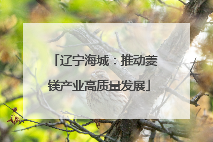 辽宁海城：推动菱镁产业高质量发展