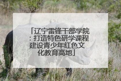 辽宁雷锋干部学院：打造特色研学课程 建设青少年红色文化教育高地