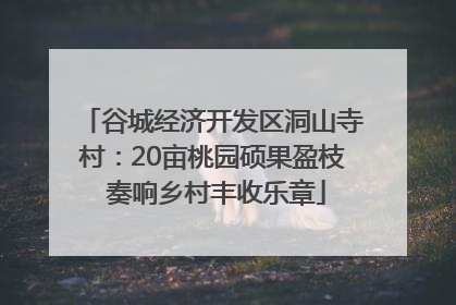 谷城经济开发区洞山寺村：20亩桃园硕果盈枝 奏响乡村丰收乐章