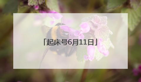 起床号6月11日