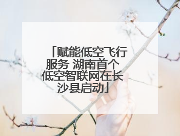 赋能低空飞行服务 湖南首个低空智联网在长沙县启动