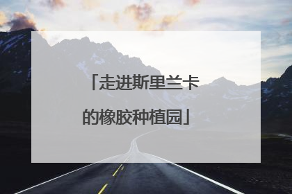 走进斯里兰卡的橡胶种植园
