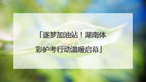 逐梦加油站！湖南体彩护考行动温暖启幕