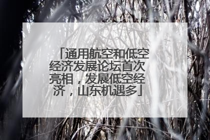 通用航空和低空经济发展论坛首次亮相，发展低空经济，山东机遇多