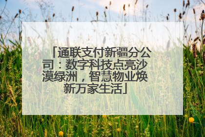 通联支付新疆分公司：数字科技点亮沙漠绿洲，智慧物业焕新万家生活