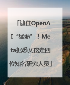 逮住OpenAI“猛薅”！Meta据悉又挖走四位知名研究人员