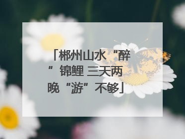 郴州山水“醉”锦鲤 三天两晚“游”不够