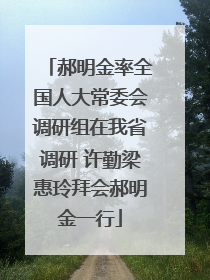郝明金率全国人大常委会调研组在我省调研 许勤梁惠玲拜会郝明金一行