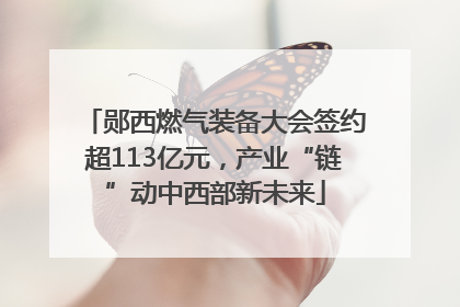 郧西燃气装备大会签约超113亿元，产业“链”动中西部新未来