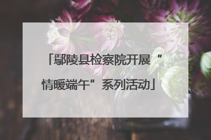 鄢陵县检察院开展“情暖端午”系列活动