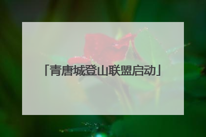青唐城登山联盟启动