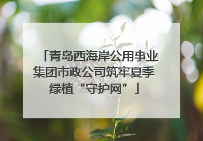 青岛西海岸公用事业集团市政公司筑牢夏季绿植“守护网”