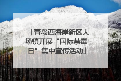 青岛西海岸新区大场镇开展“国际禁毒日”集中宣传活动