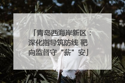 青岛西海岸新区：深化指导筑防线 靶向监督守“薪”安