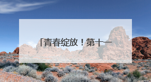 青春绽放！第十一届湖南省青年文化艺术活动总决赛举行