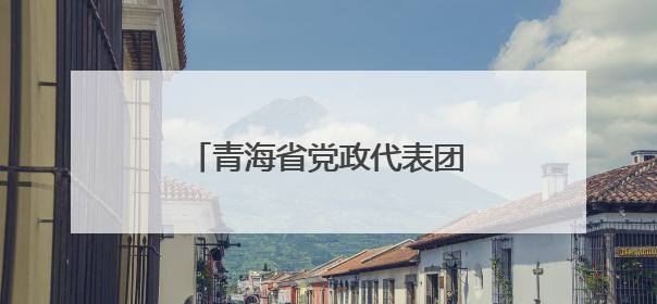 青海省党政代表团赴天津学习考察