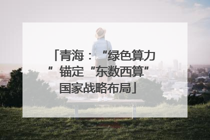 青海：“绿色算力”锚定“东数西算”国家战略布局