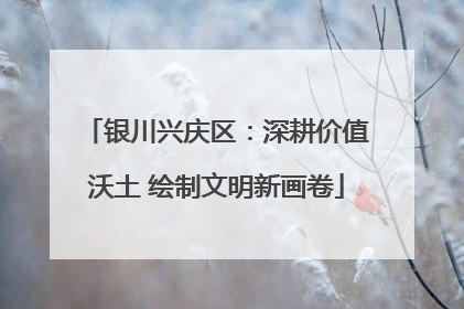银川兴庆区：深耕价值沃土 绘制文明新画卷