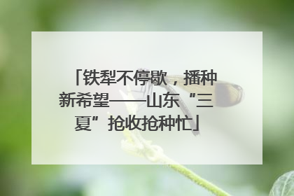 铁犁不停歇，播种新希望——山东“三夏”抢收抢种忙