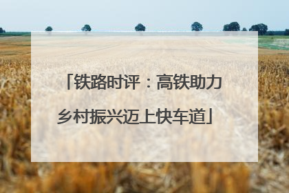 铁路时评：高铁助力乡村振兴迈上快车道