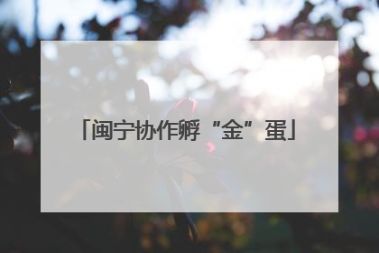 闽宁协作孵“金”蛋
