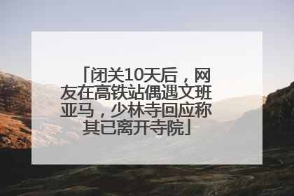 闭关10天后，网友在高铁站偶遇文班亚马，少林寺回应称其已离开寺院