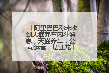 阿里巴巴称未收到天猫养车内斗消息，天猫养车：公司运营一切正常