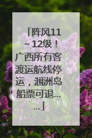 阵风11～12级！广西所有客渡运航线停运，涠洲岛船票可退……