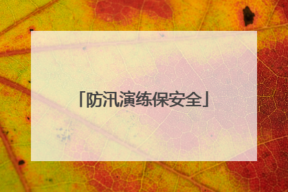 防汛演练保安全