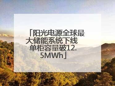 阳光电源全球最大储能系统下线 单柜容量破12.5MWh
