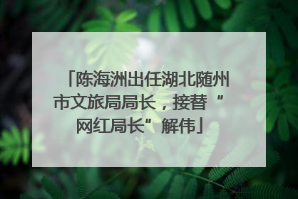 陈海洲出任湖北随州市文旅局局长，接替“网红局长”解伟