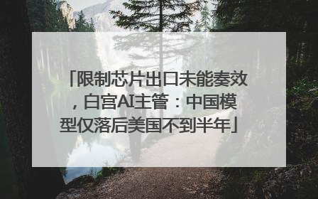 限制芯片出口未能奏效，白宫AI主管：中国模型仅落后美国不到半年