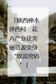 陕西神木铧西村：花卉产业让美丽资源变身“致富密码”
