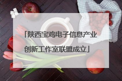 陕西宝鸡电子信息产业创新工作室联盟成立