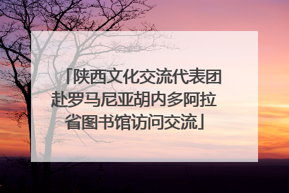 陕西文化交流代表团赴罗马尼亚胡内多阿拉省图书馆访问交流