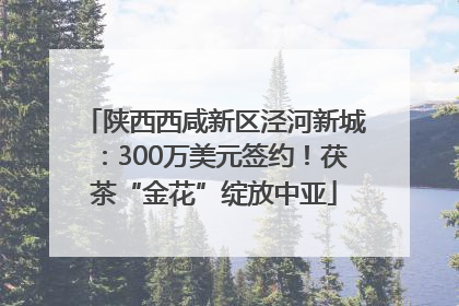 陕西西咸新区泾河新城：300万美元签约！茯茶“金花”绽放中亚