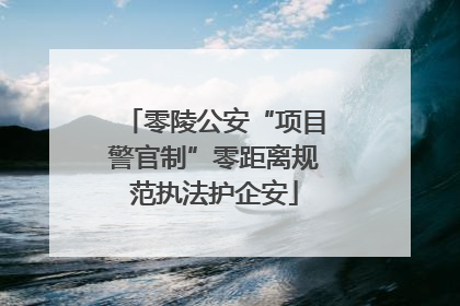 零陵公安“项目警官制”零距离规范执法护企安