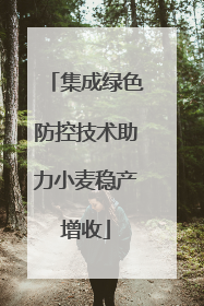 集成绿色防控技术助力小麦稳产增收