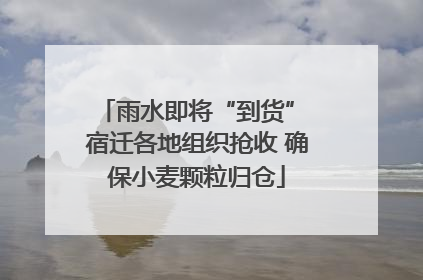 雨水即将“到货” 宿迁各地组织抢收 确保小麦颗粒归仓