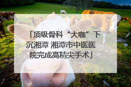 顶级骨科“大咖”下沉湘潭 湘潭市中医医院完成高精尖手术
