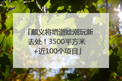 顺义将增遛娃潮玩新去处！3500平方米+近100个项目