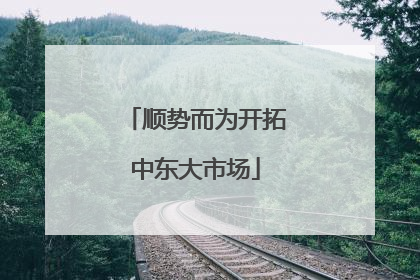 顺势而为开拓中东大市场