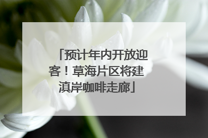 预计年内开放迎客！草海片区将建滇岸咖啡走廊