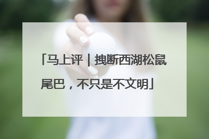 马上评｜拽断西湖松鼠尾巴，不只是不文明