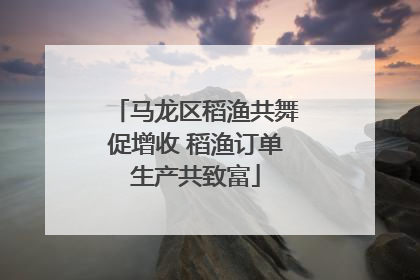 马龙区稻渔共舞促增收 稻渔订单生产共致富