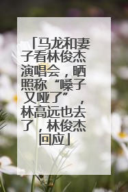 马龙和妻子看林俊杰演唱会，晒照称“嗓子又哑了”，林高远也去了，林俊杰回应